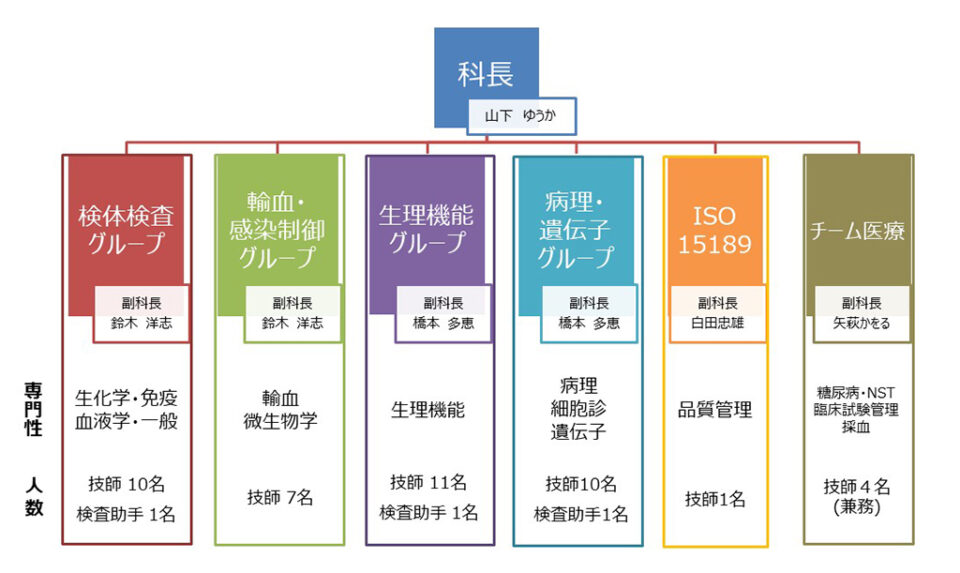 臨床検査技術科 組織体制