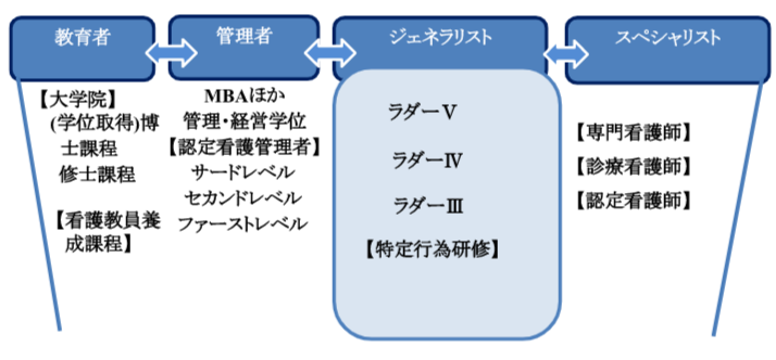 教育内容とキャリア開発構造