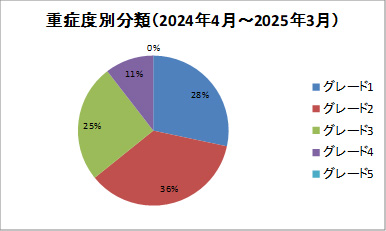 重症度別分類2024